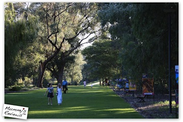 Travel Perth with Toddler - Kings Park & Botanic Garden