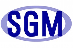 babyhood SGM - Logo 2014 (one colour) v2